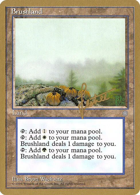 Brushland, carta Magic di tipo Land illustrata da Bryon Wackwitz