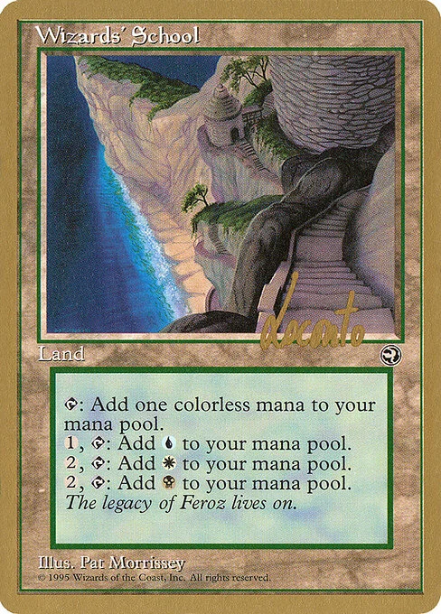 Wizards' School, carta Magic di tipo Land illustrata da Pat Lewis