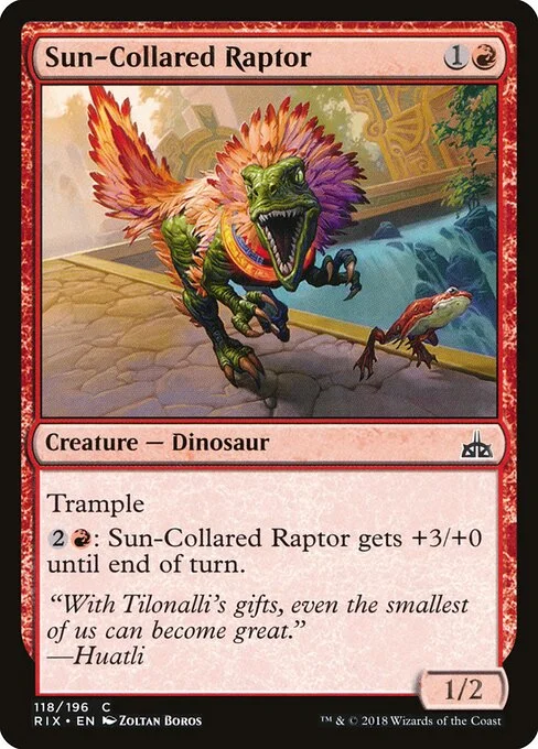 Sun-Collared Raptor, carta Magic di tipo Creature — Dinosaur illustrata da Zoltan Boros