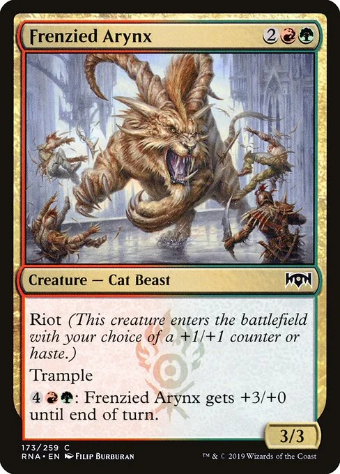 Frenzied Arynx, carta Magic di tipo Creature — Cat Beast illustrata da Filip Burburan