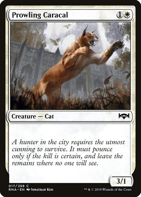 Prowling Caracal, carta Magic di tipo Creature — Cat illustrata da Jonathan Kuo