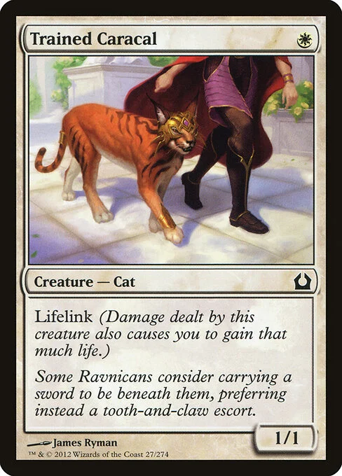 Trained Caracal, carta Magic di tipo Creature — Cat illustrata da James Ryman