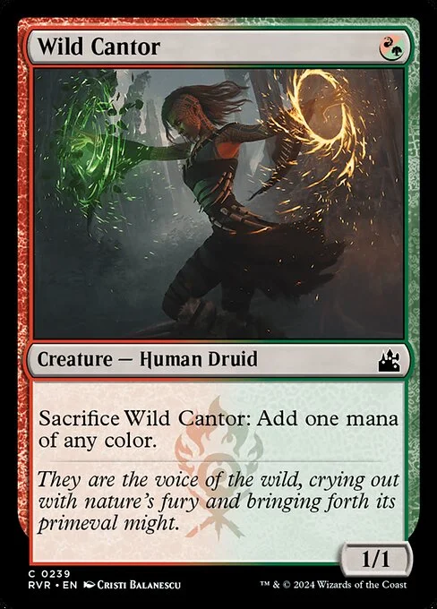 Wild Cantor, carta Magic di tipo Creature — Human Druid illustrata da Cristi Balanescu