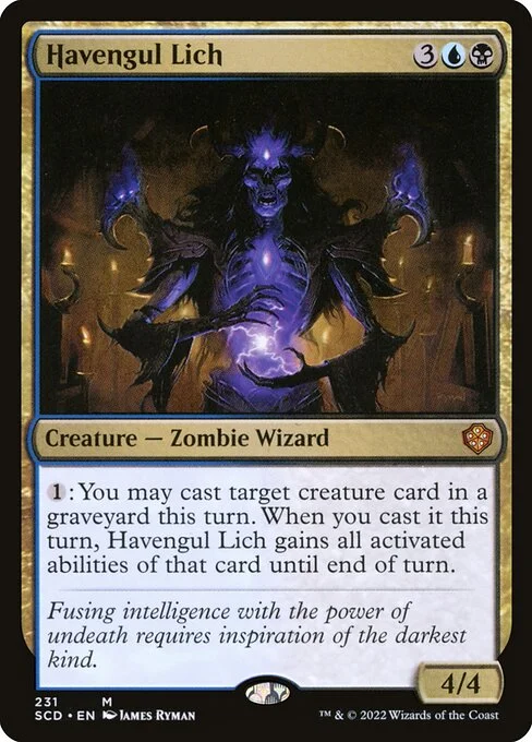 Havengul Lich, carta Magic di tipo Creature — Zombie Wizard illustrata da James Ryman