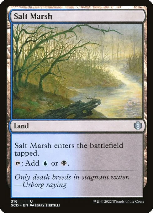 Salt Marsh, carta Magic di tipo Land illustrata da Jerry Tiritilli