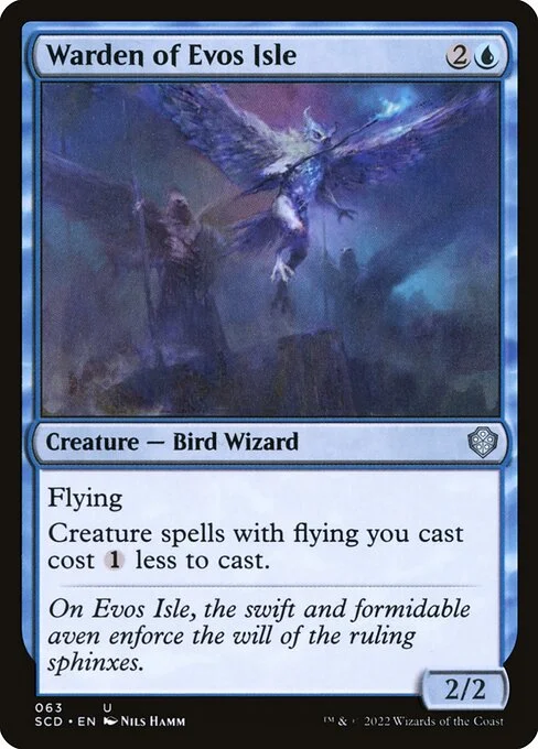 Warden of Evos Isle, carta Magic di tipo Creature — Bird Wizard illustrata da Nils Hamm
