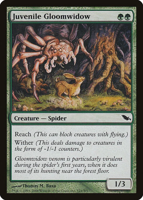 Juvenile Gloomwidow, carta Magic di tipo Creature — Spider illustrata da Thomas M. Baxa