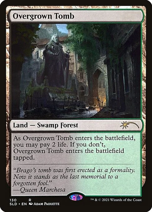 Overgrown Tomb, carta Magic di tipo Land — Swamp Forest illustrata da Adam Paquette