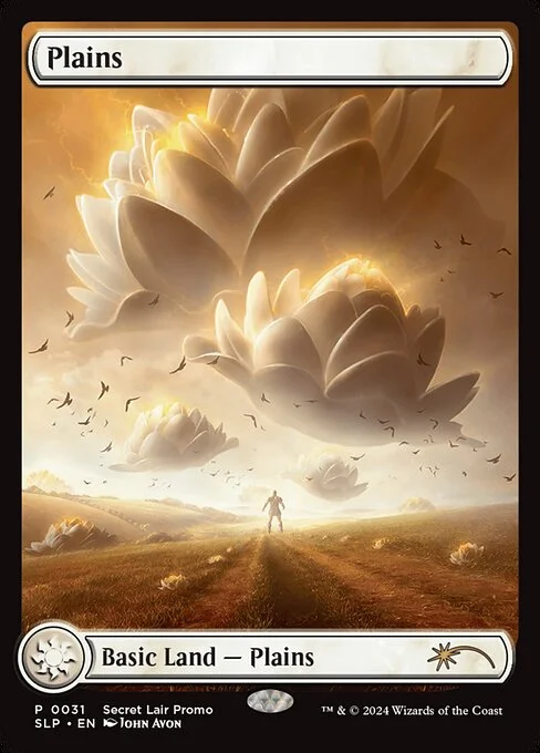 Plains, carta Magic di tipo Basic Land — Plains illustrata da John Avon