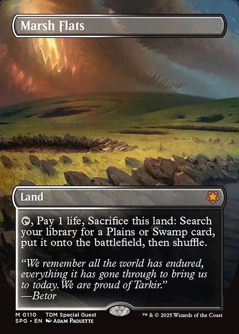 Marsh Flats, carta Magic di tipo Land illustrata da Adam Paquette