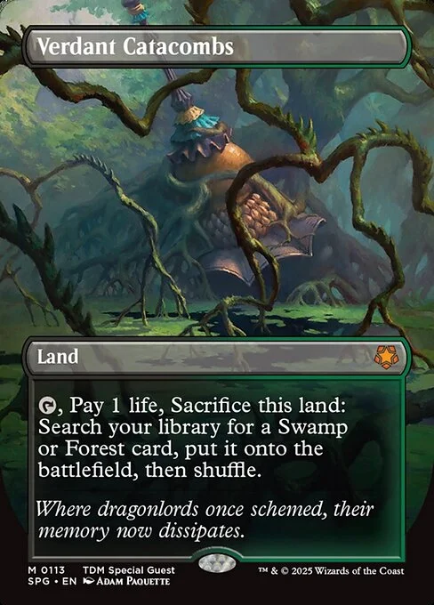 Verdant Catacombs, carta Magic di tipo Land illustrata da Adam Paquette