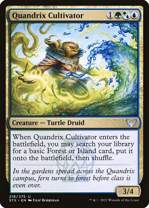 Quandrix Cultivator, carta Magic di tipo Creature — Turtle Druid illustrata da Filip Burburan