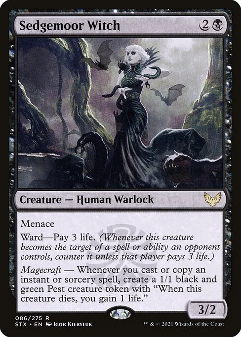 Sedgemoor Witch, carta Magic di tipo Creature — Human Warlock illustrata da Igor Kieryluk