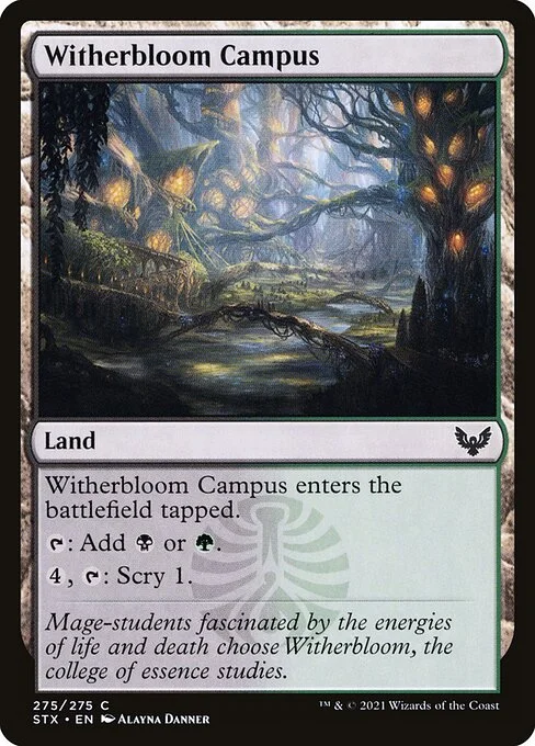 Witherbloom Campus, carta Magic di tipo Land illustrata da Alayna Danner