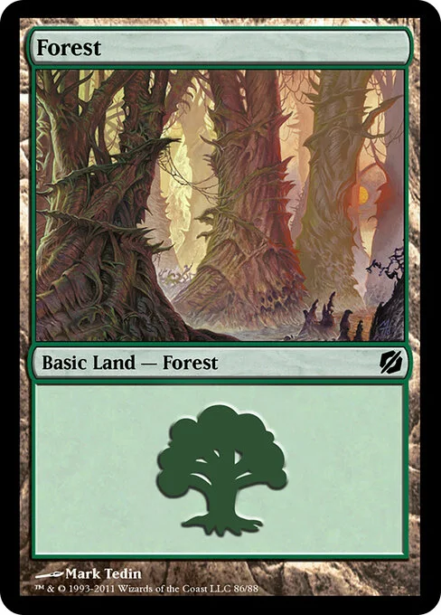 Forest, carta Magic di tipo Basic Land — Forest illustrata da Mark Tedin