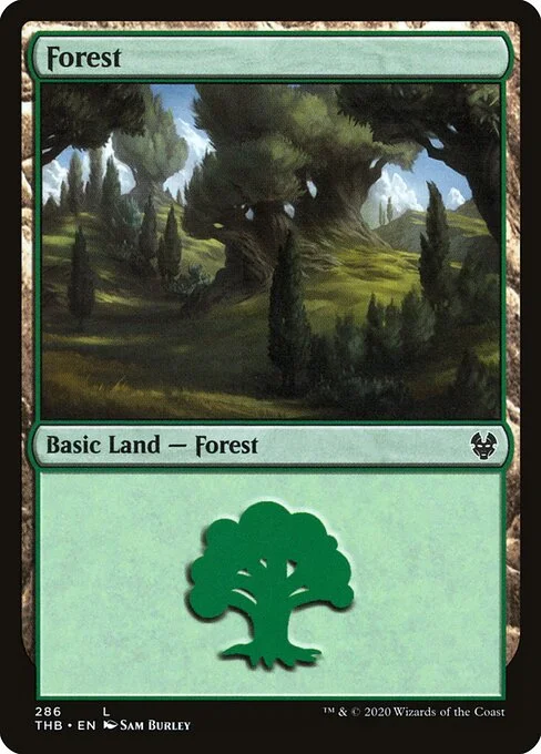 Forest, carta Magic di tipo Basic Land — Forest illustrata da Sam Burley