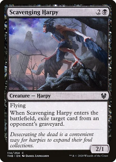 Scavenging Harpy, carta Magic di tipo Creature — Harpy illustrata da Daniel Ljunggren