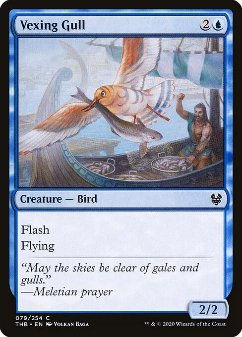 Vexing Gull, carta Magic di tipo Creature — Bird illustrata da Volkan Baǵa