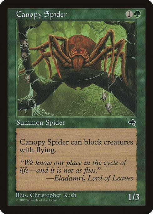 Canopy Spider, carta Magic di tipo Creature — Spider illustrata da Christopher Rush