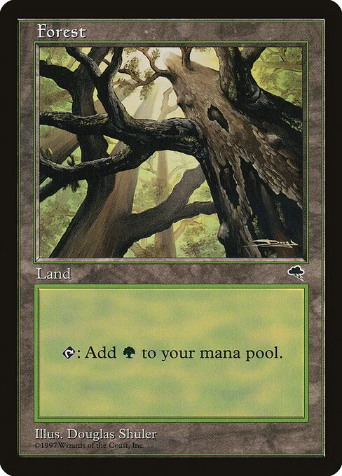 Forest, carta Magic di tipo Basic Land — Forest illustrata da Douglas Shuler