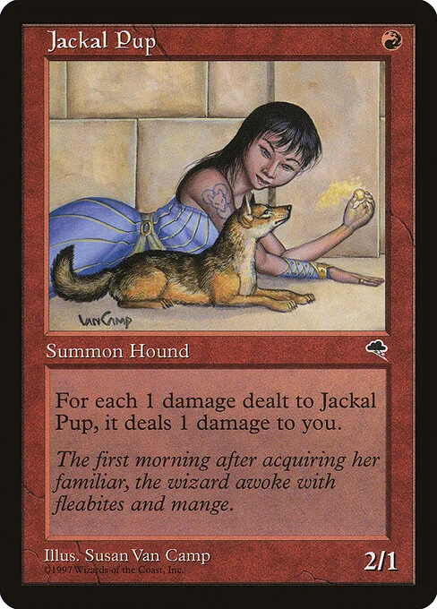 Jackal Pup, carta Magic di tipo Creature — Jackal illustrata da Susan Van Camp