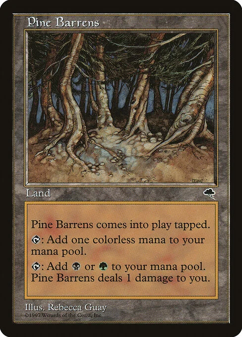 Pine Barrens, carta Magic di tipo Land illustrata da Rebecca Guay