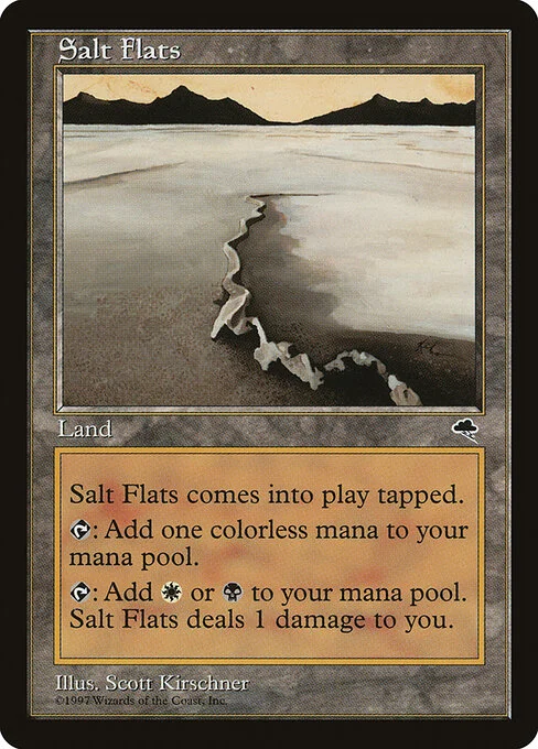 Salt Flats, carta Magic di tipo Land illustrata da Scott Kirschner