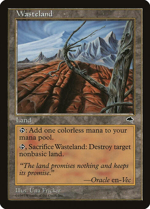 Wasteland, carta Magic di tipo Land illustrata da Una Fricker