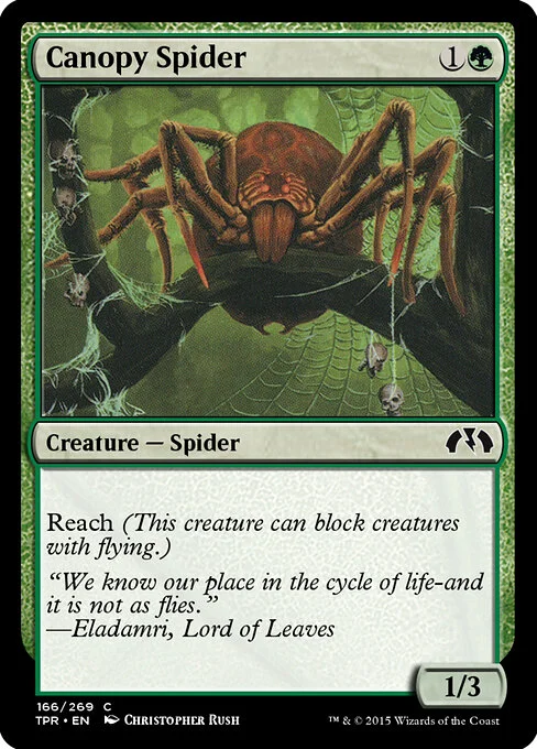 Canopy Spider, carta Magic di tipo Creature — Spider illustrata da Christopher Rush