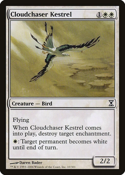 Cloudchaser Kestrel, carta Magic di tipo Creature — Bird illustrata da Daren Bader