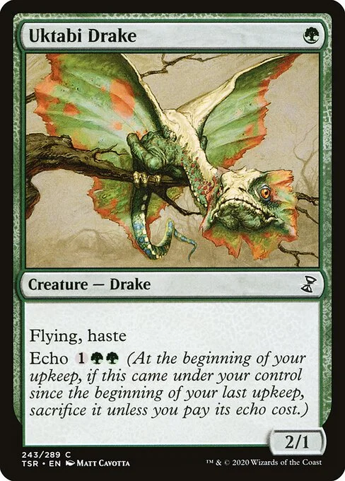 Uktabi Drake, carta Magic di tipo Creature — Drake illustrata da Matt Cavotta