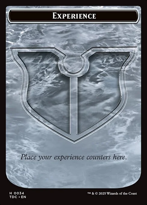 Experience, carta Magic di tipo Card