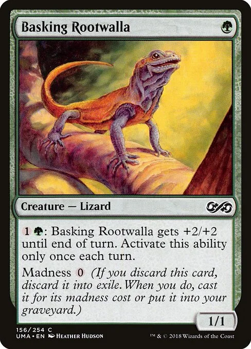 Basking Rootwalla, carta Magic di tipo Creature — Lizard illustrata da Heather Hudson