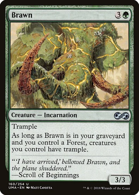 Brawn, carta Magic di tipo Creature — Incarnation illustrata da Matt Cavotta