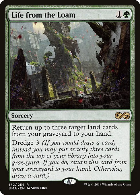 Life from the Loam, carta Magic di tipo Sorcery illustrata da Sung Choi