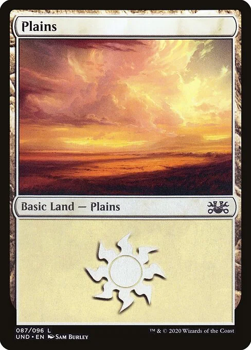 Plains, carta Magic di tipo Basic Land — Plains illustrata da Sam Burley