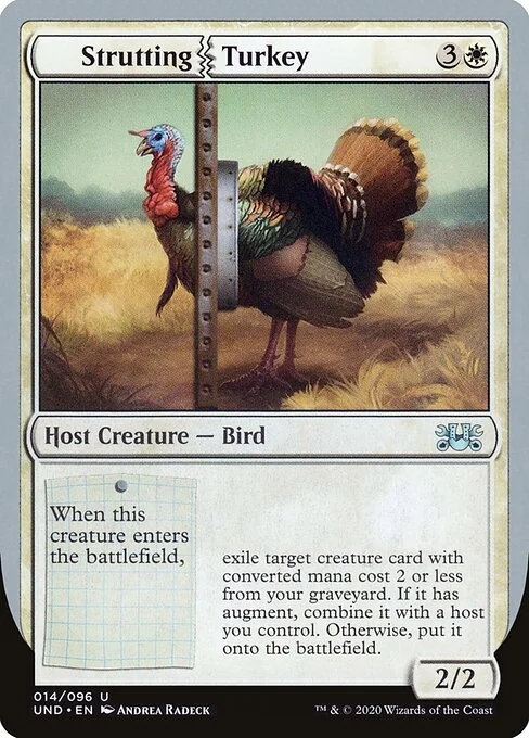 Strutting Turkey, carta Magic di tipo Host Creature — Bird illustrata da Andrea Radeck