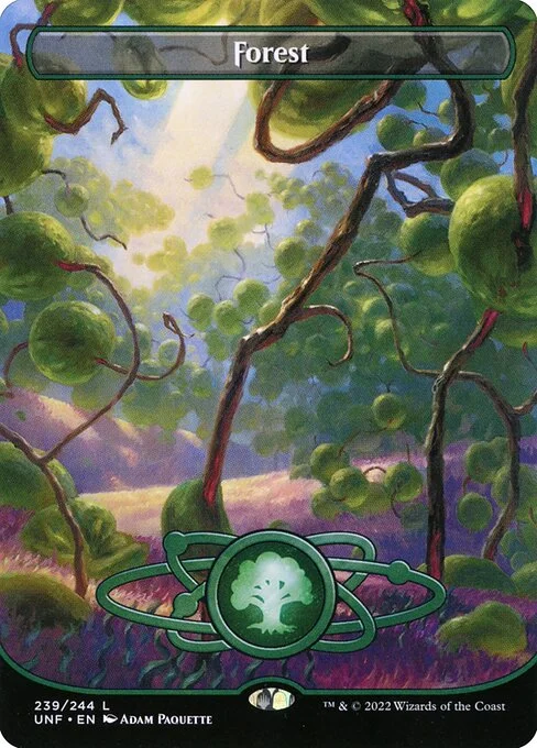 Forest, carta Magic di tipo Basic Land — Forest illustrata da Adam Paquette