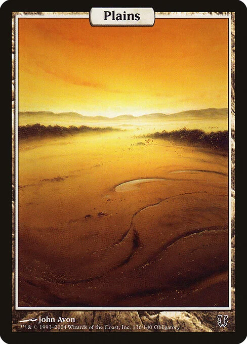 Plains, carta Magic di tipo Basic Land — Plains illustrata da John Avon