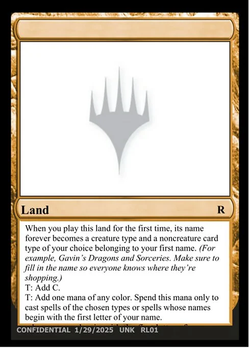 ______, carta Magic di tipo Land