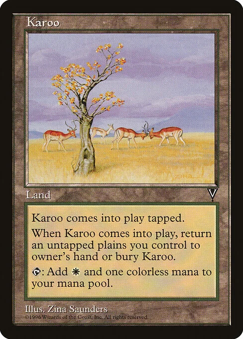 Karoo, carta Magic di tipo Land illustrata da Zina Saunders