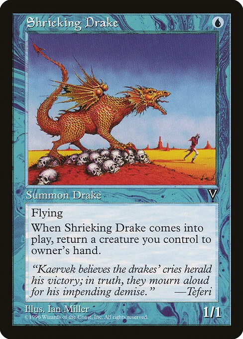 Shrieking Drake, carta Magic di tipo Creature — Drake illustrata da Ian Miller