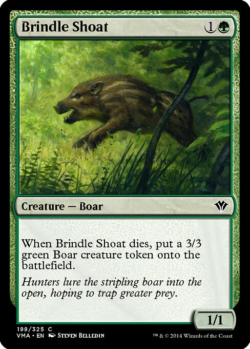 Brindle Shoat, carta Magic di tipo Creature — Boar illustrata da Steven Belledin