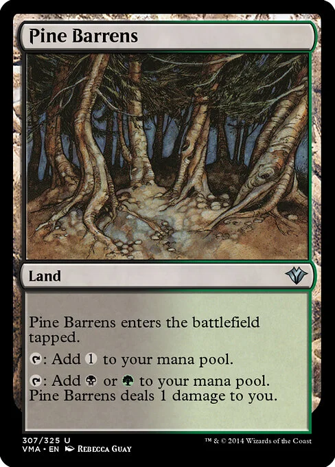 Pine Barrens, carta Magic di tipo Land illustrata da Rebecca Guay