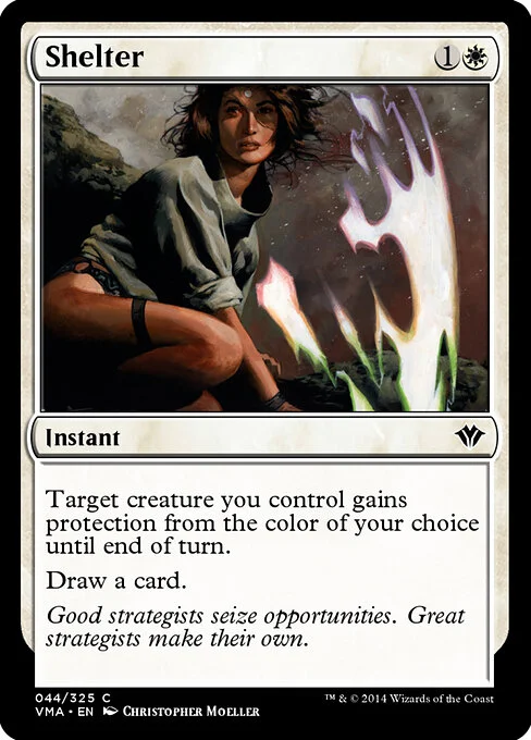 Shelter, carta Magic di tipo Instant illustrata da Christopher Moeller