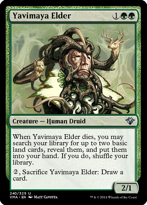 Yavimaya Elder, carta Magic di tipo Creature — Human Druid illustrata da Matt Cavotta