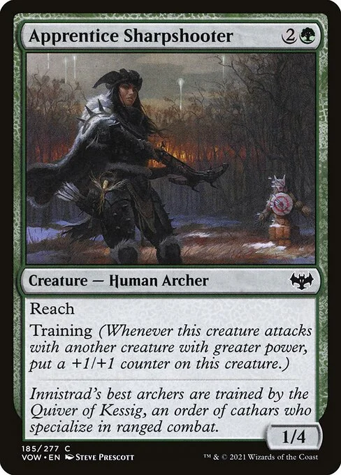 Apprentice Sharpshooter, carta Magic di tipo Creature — Human Archer illustrata da Steve Prescott