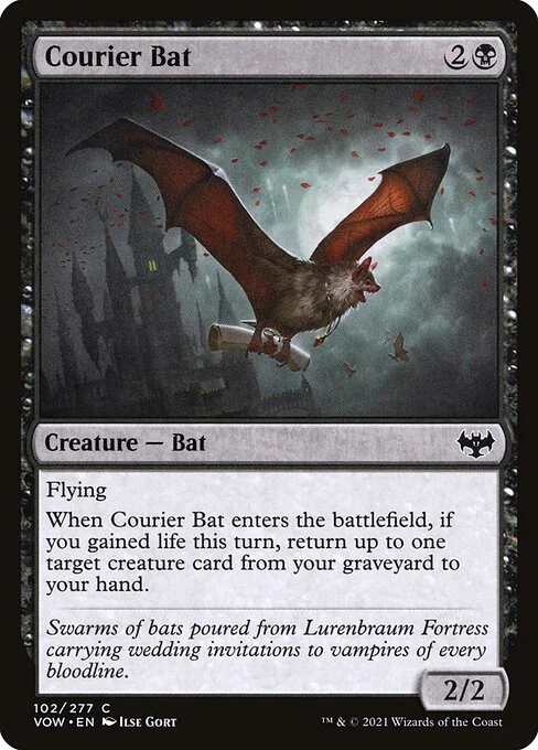 Courier Bat, carta Magic di tipo Creature — Bat illustrata da Ilse Gort