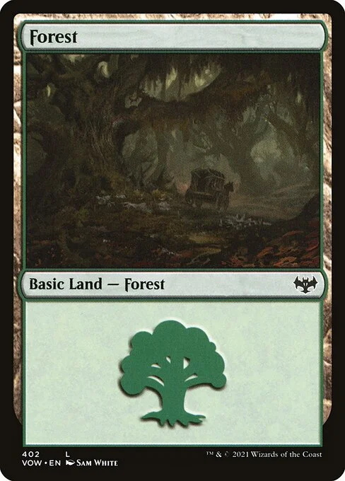 Forest, carta Magic di tipo Basic Land — Forest illustrata da Sam White