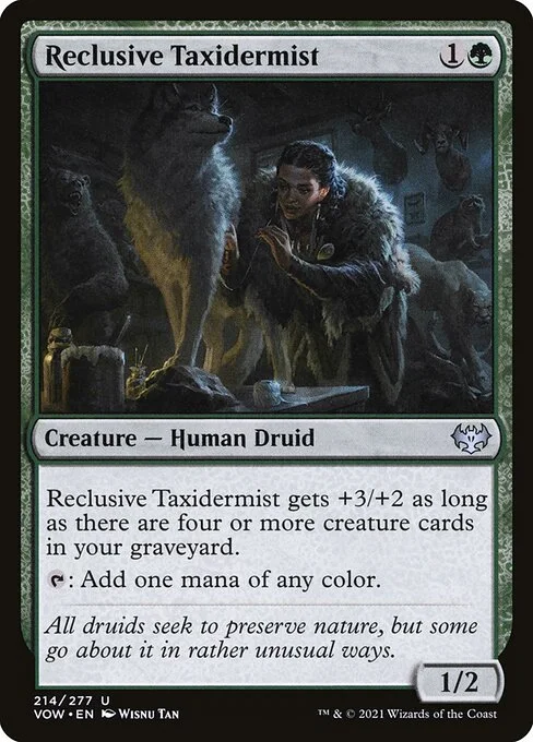 Reclusive Taxidermist, carta Magic di tipo Creature — Human Druid illustrata da Wisnu Tan